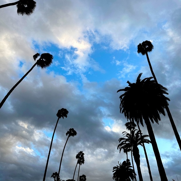 Meet your Posher, Kim - Picture 1 of 1